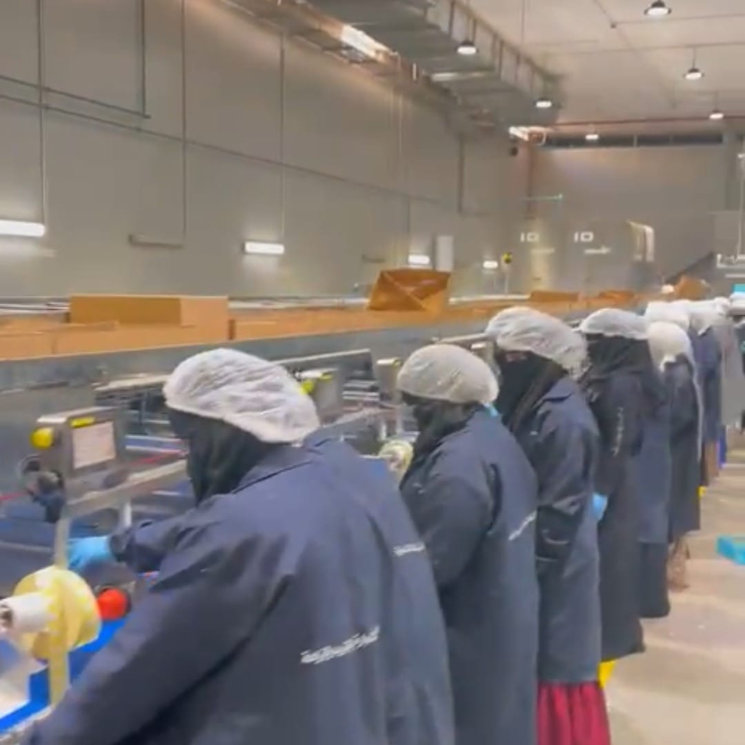 WhatsApp Image 2025-03-12 at 15.08.32_7b8fb3fb