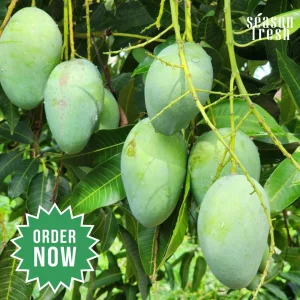 Dam_20250621_192109_3 (1)