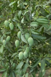 IMG_20250618_231937_549