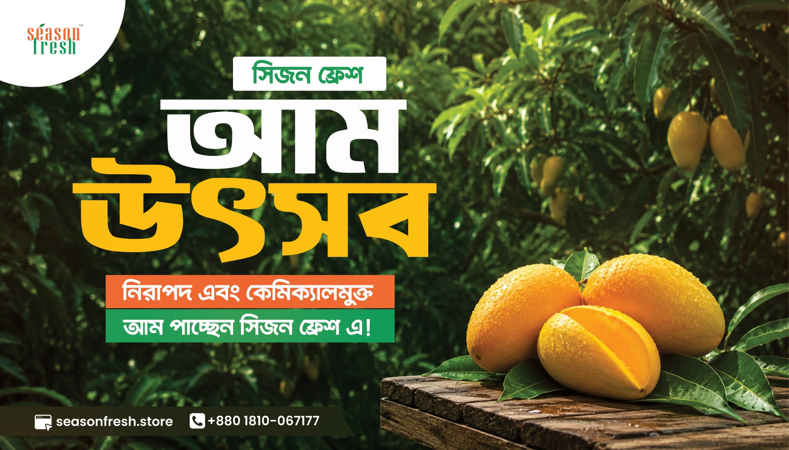 Season Fresh Mango